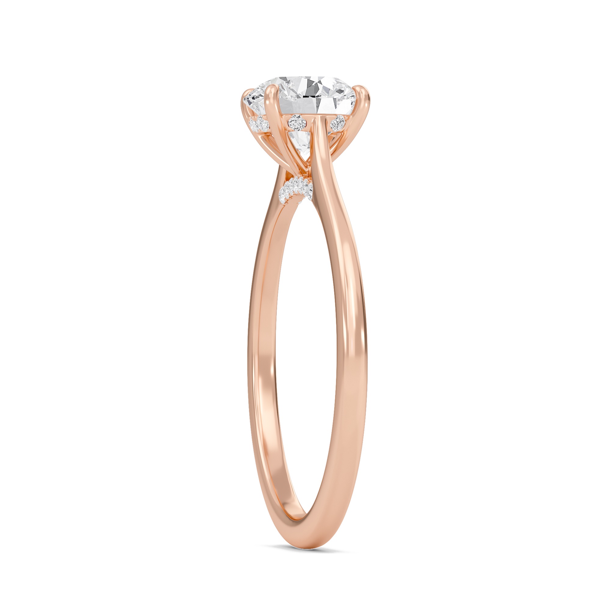 Round Cathedral Hidden Halo Engagement Ring