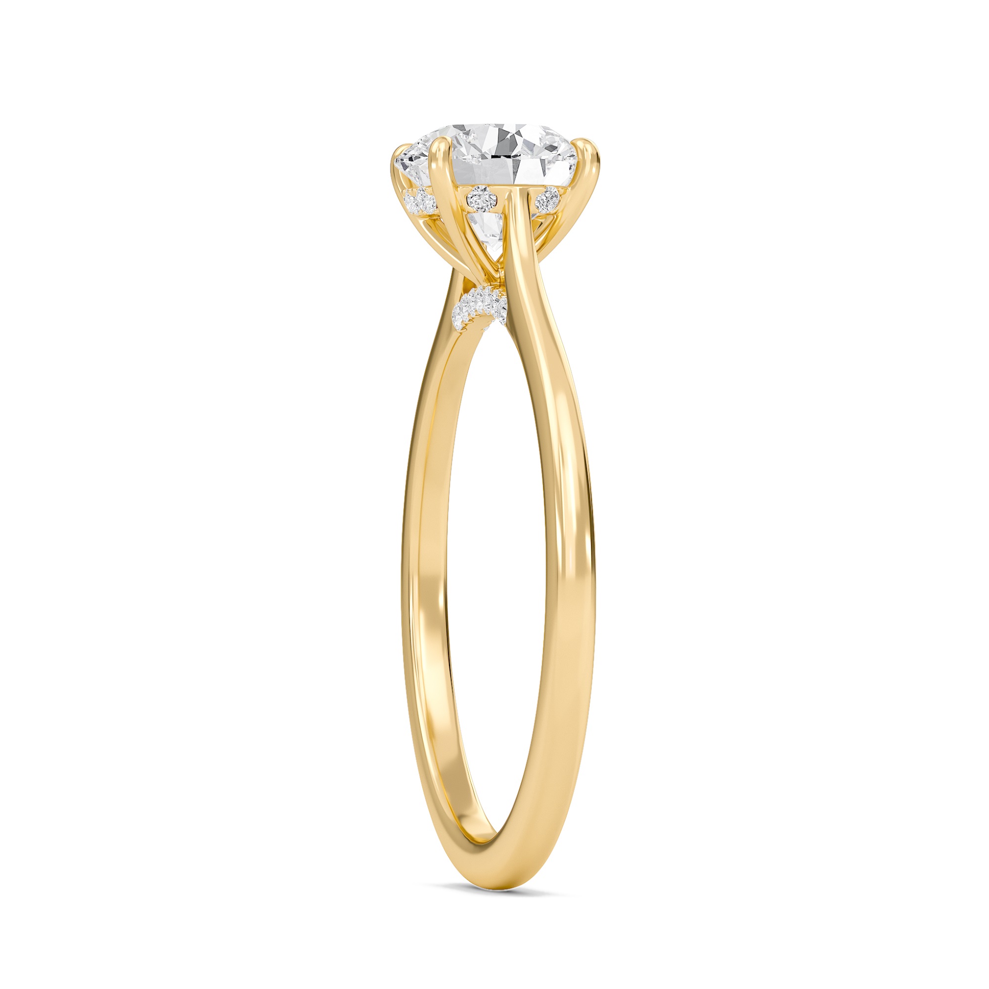 Round Cathedral Hidden Halo Engagement Ring