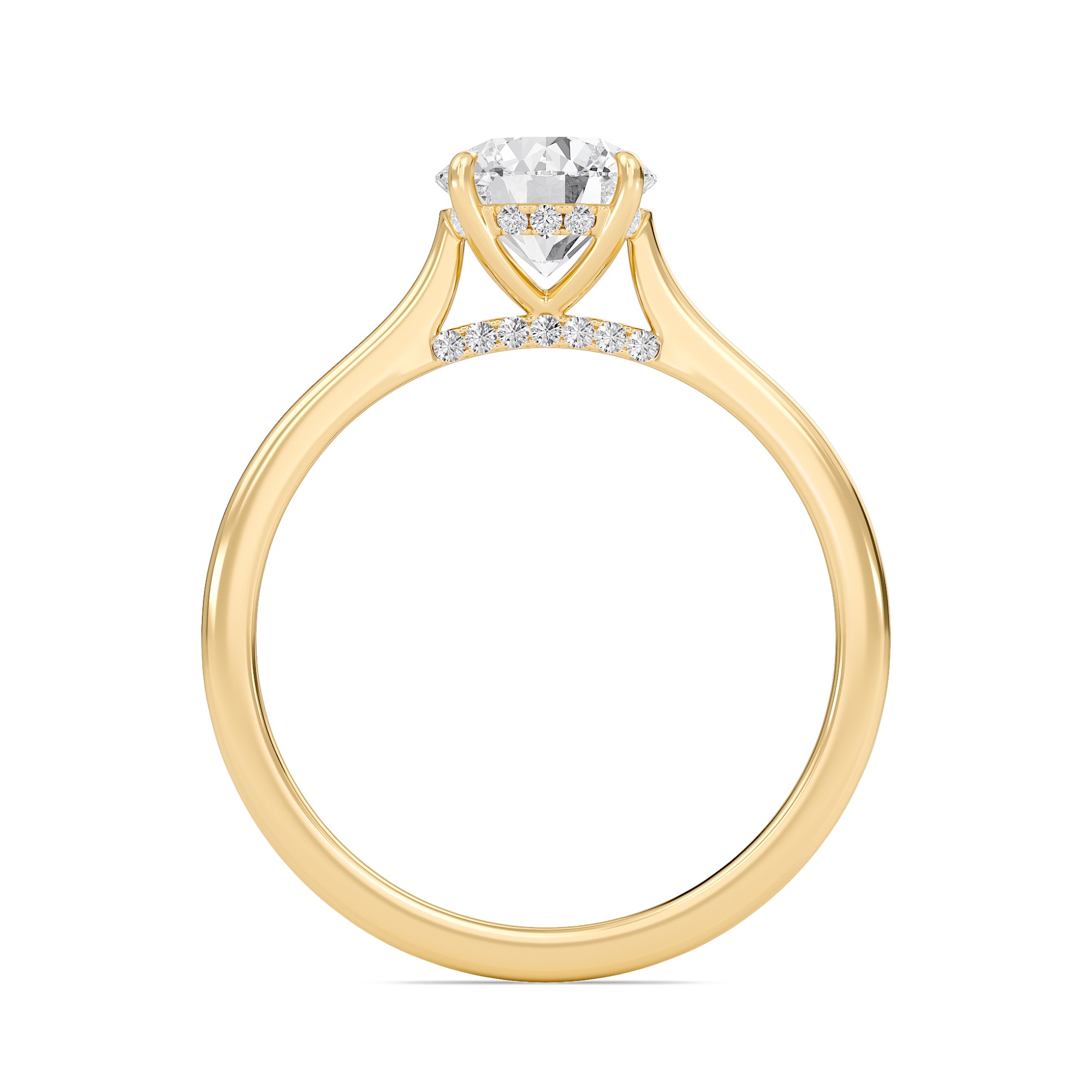 Round Cathedral Hidden Halo Engagement Ring