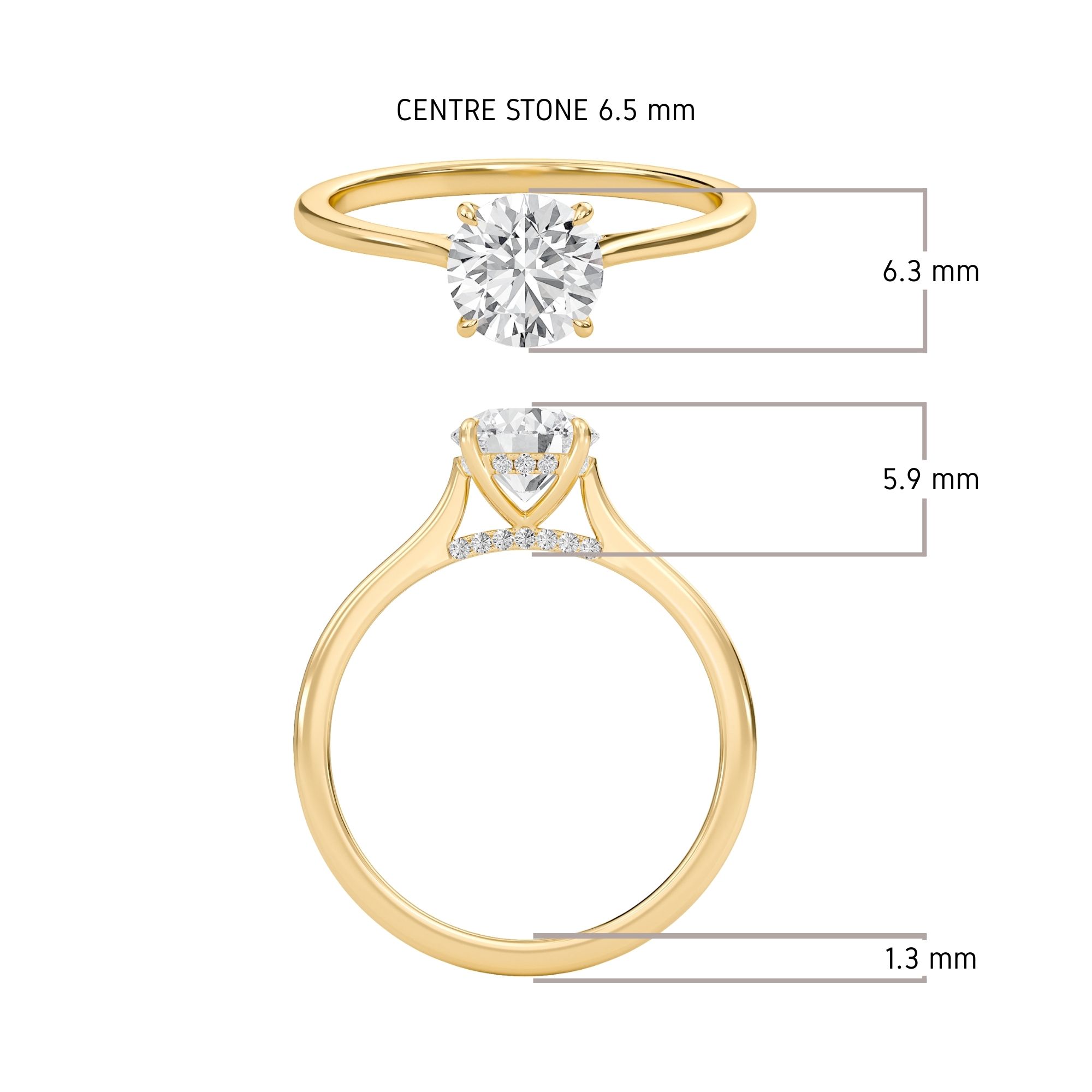 Round Cathedral Hidden Halo Engagement Ring