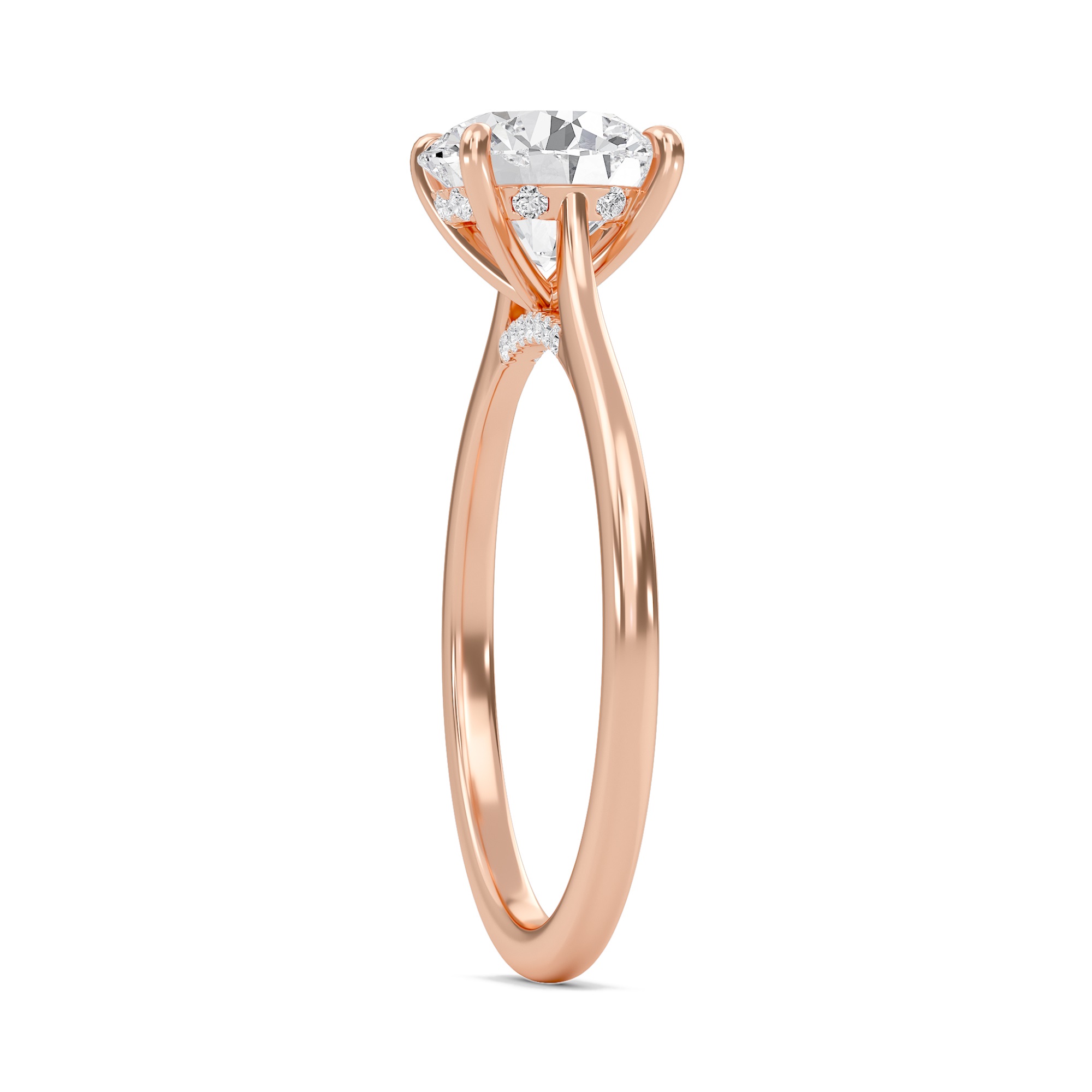 Round Cathedral Hidden Halo Engagement Ring