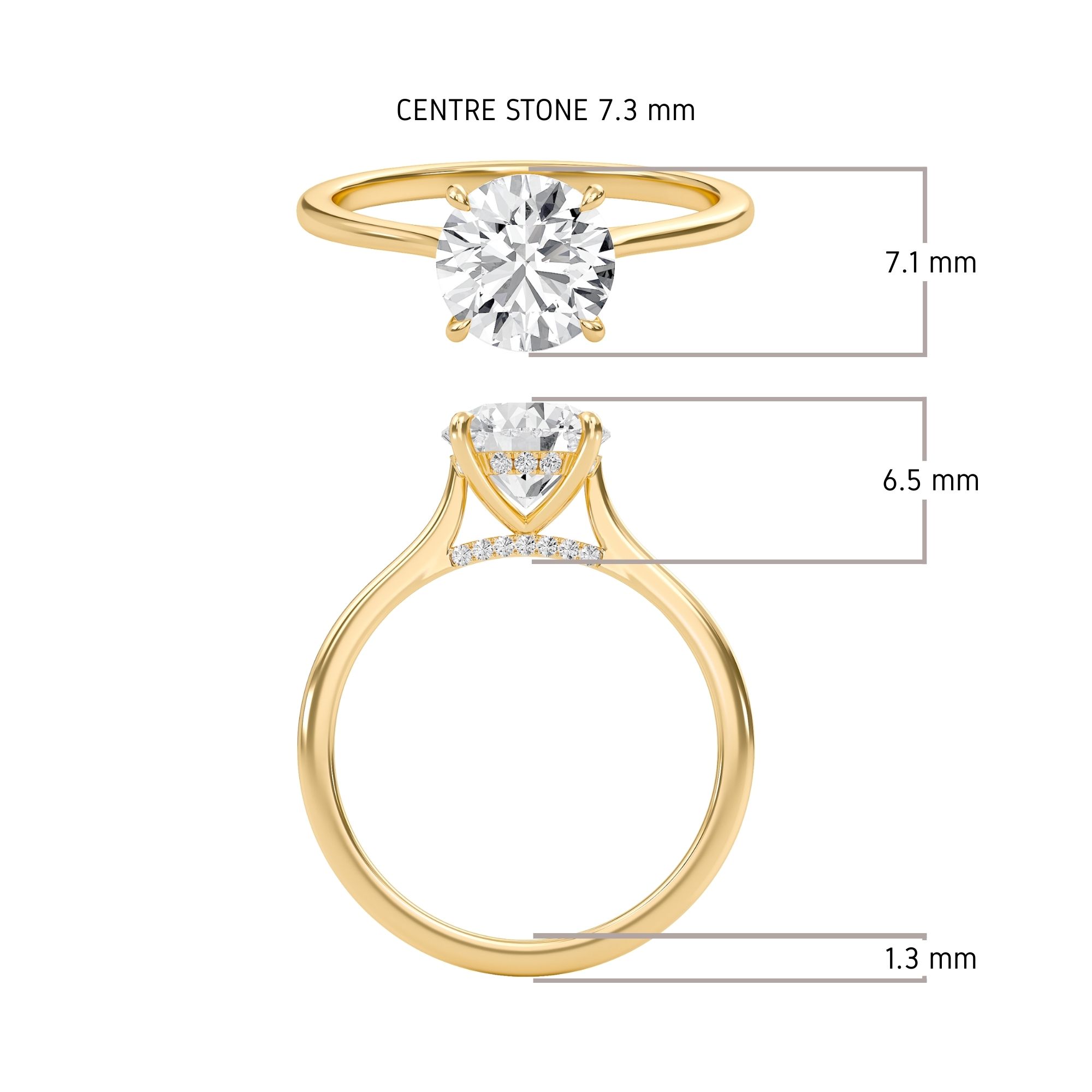 Round Cathedral Hidden Halo Engagement Ring