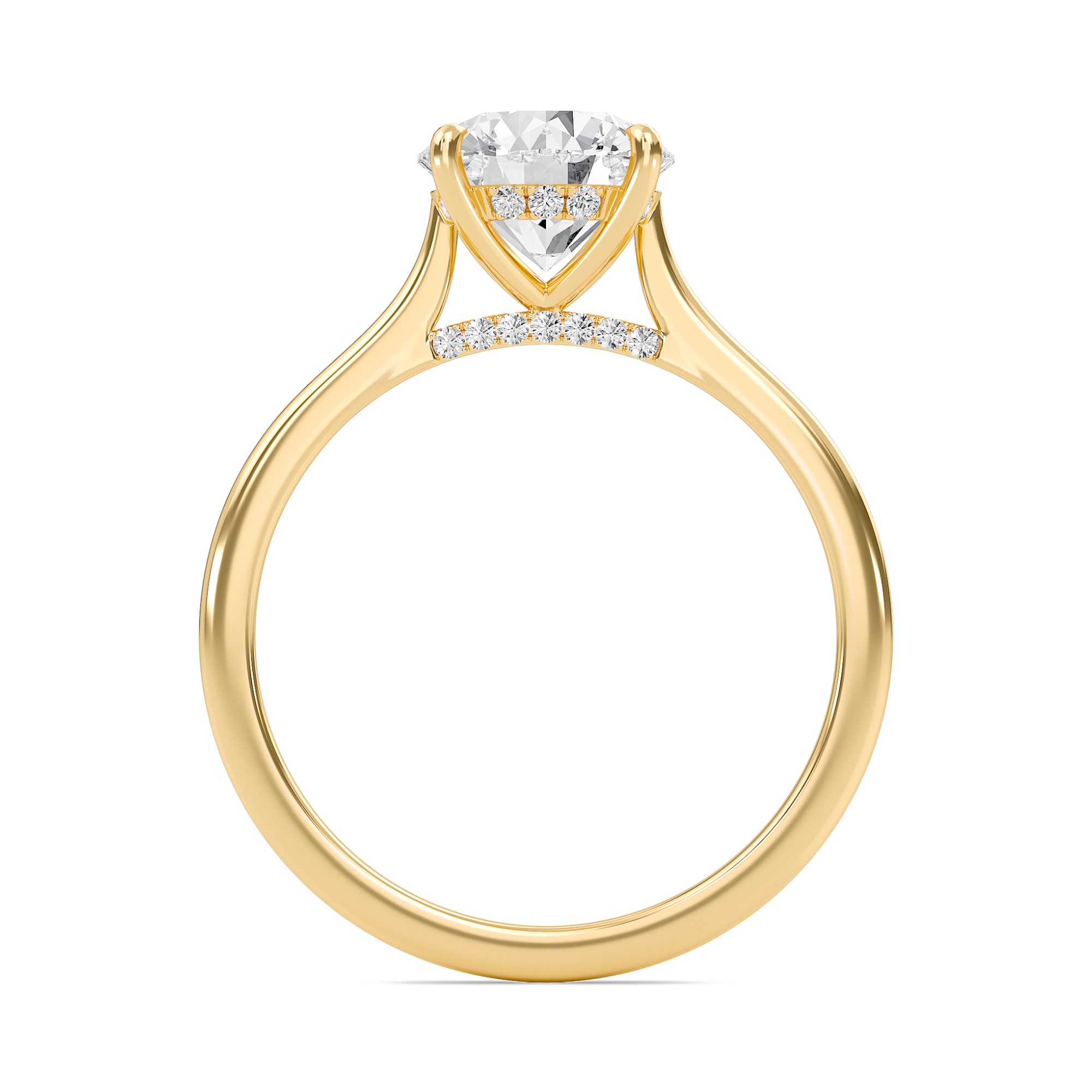 Round Cathedral Hidden Halo Engagement Ring