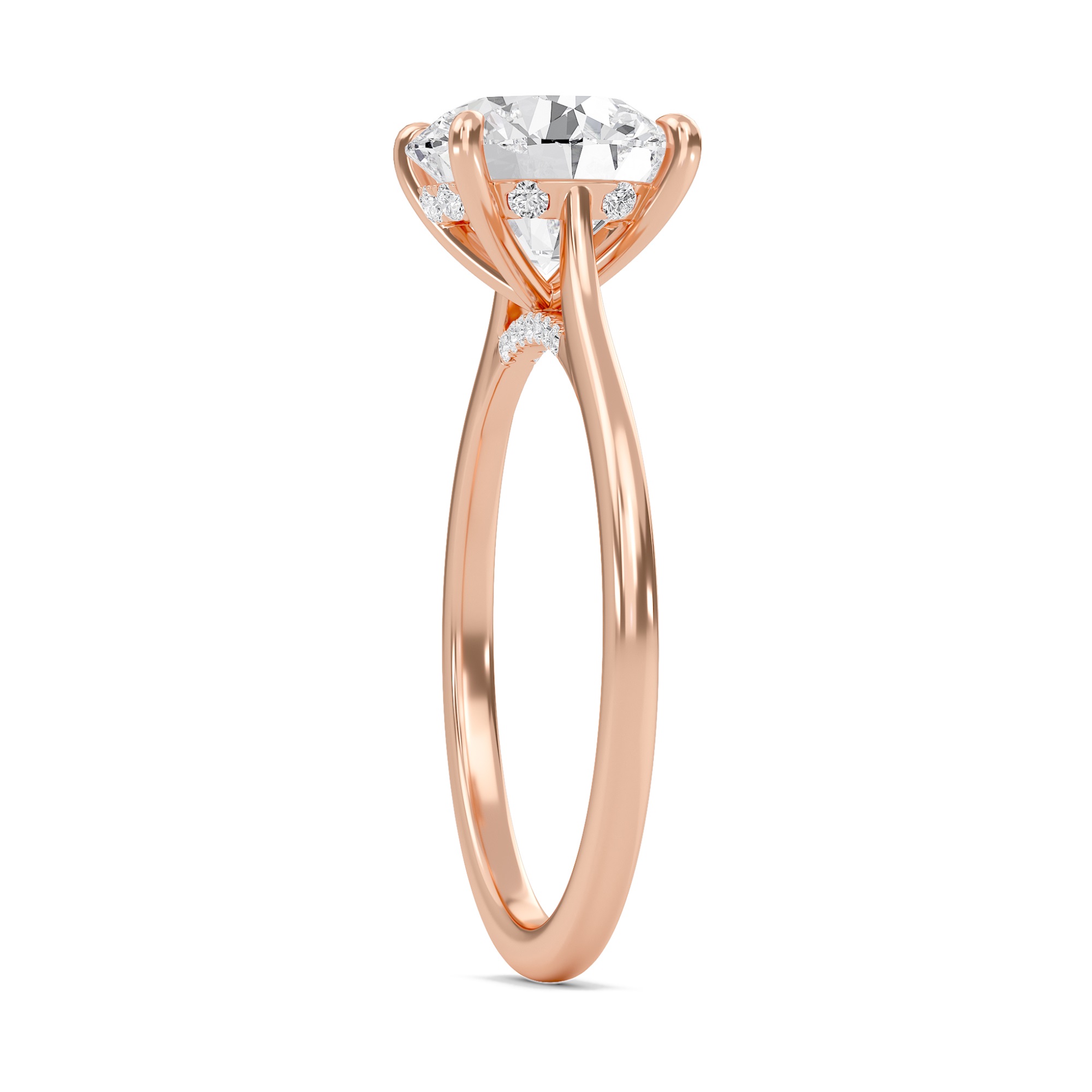 Round Cathedral Hidden Halo Engagement Ring