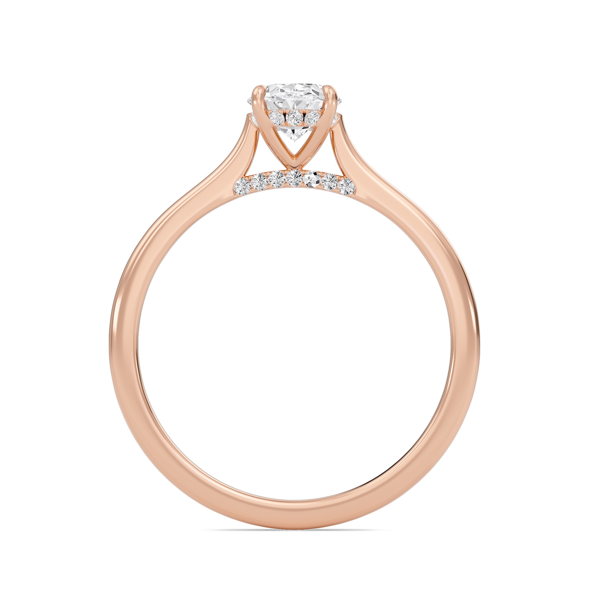 Oval Cathedral Hidden Halo Engagement Ring