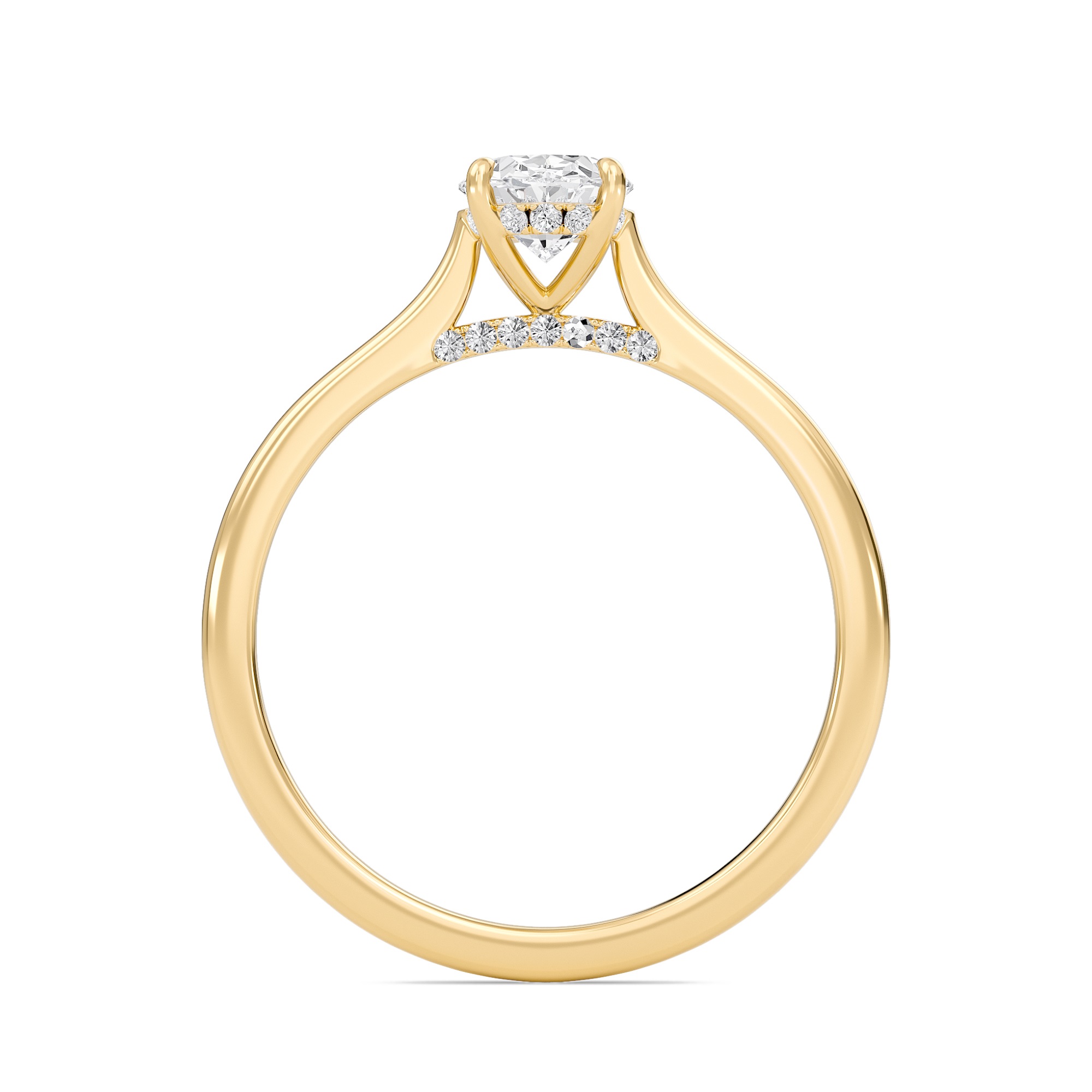 Oval Cathedral Hidden Halo Engagement Ring