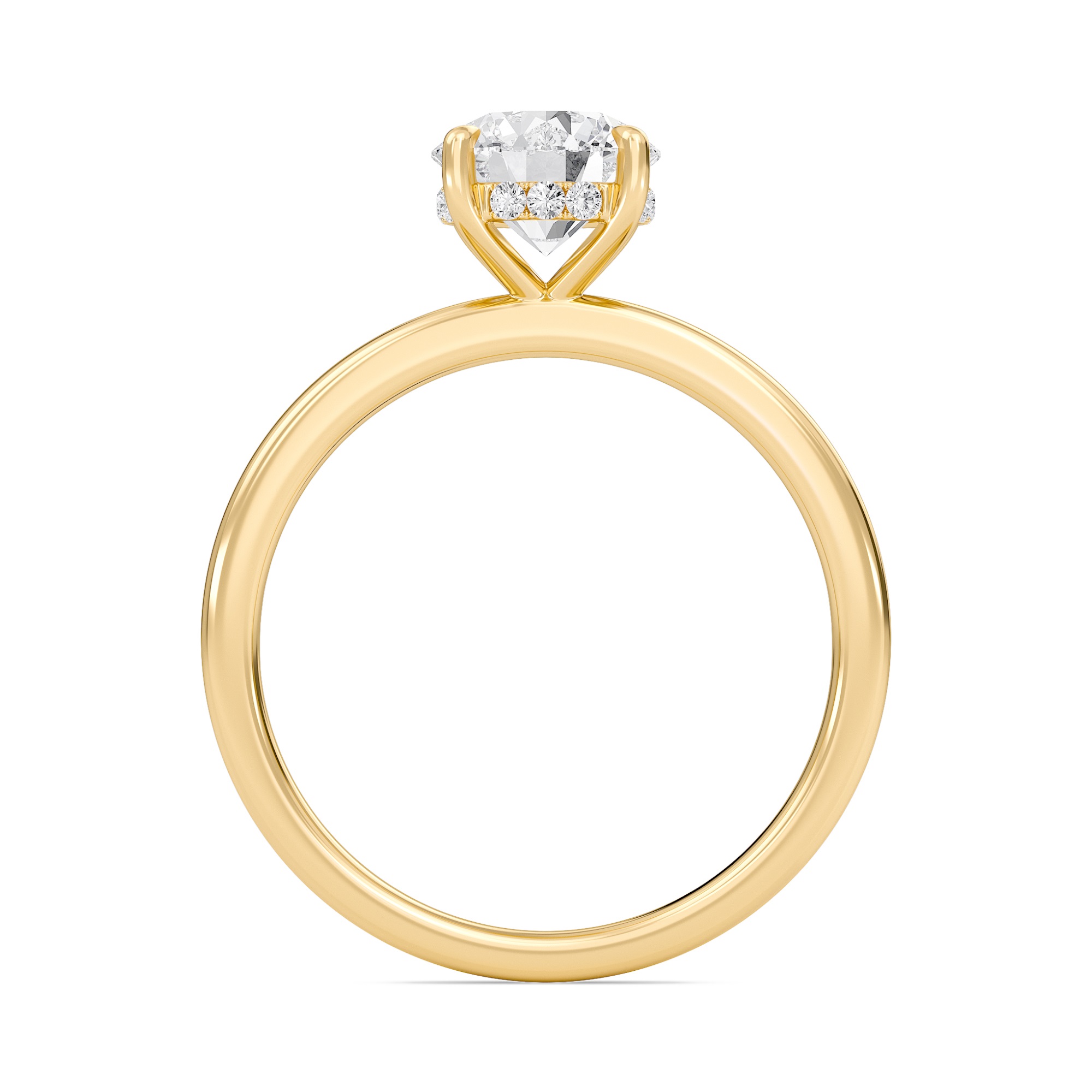 Hidden Halo Engagement Ring