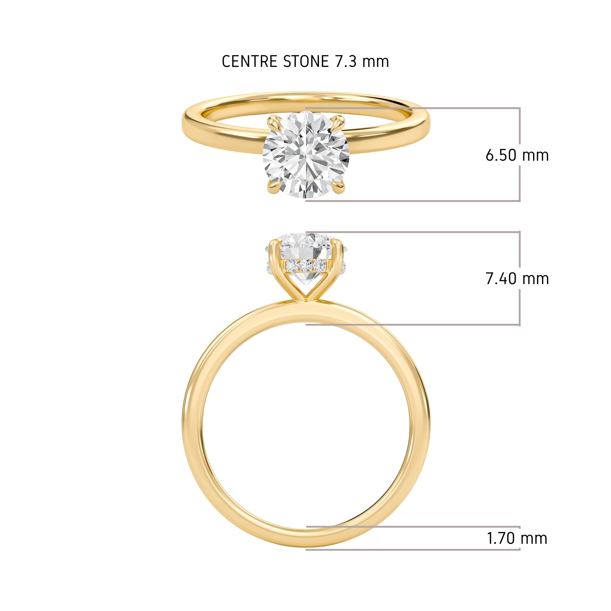Hidden Halo Engagement Ring