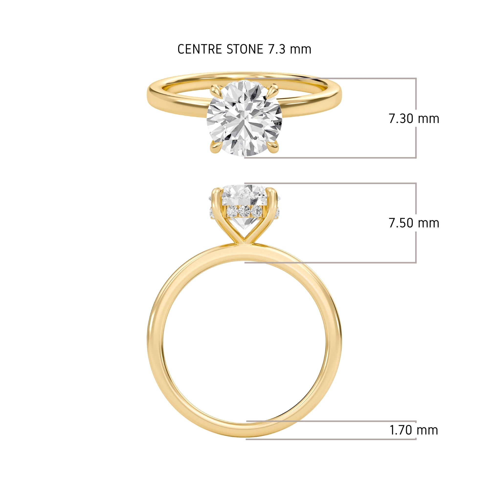 Hidden Halo Engagement Ring