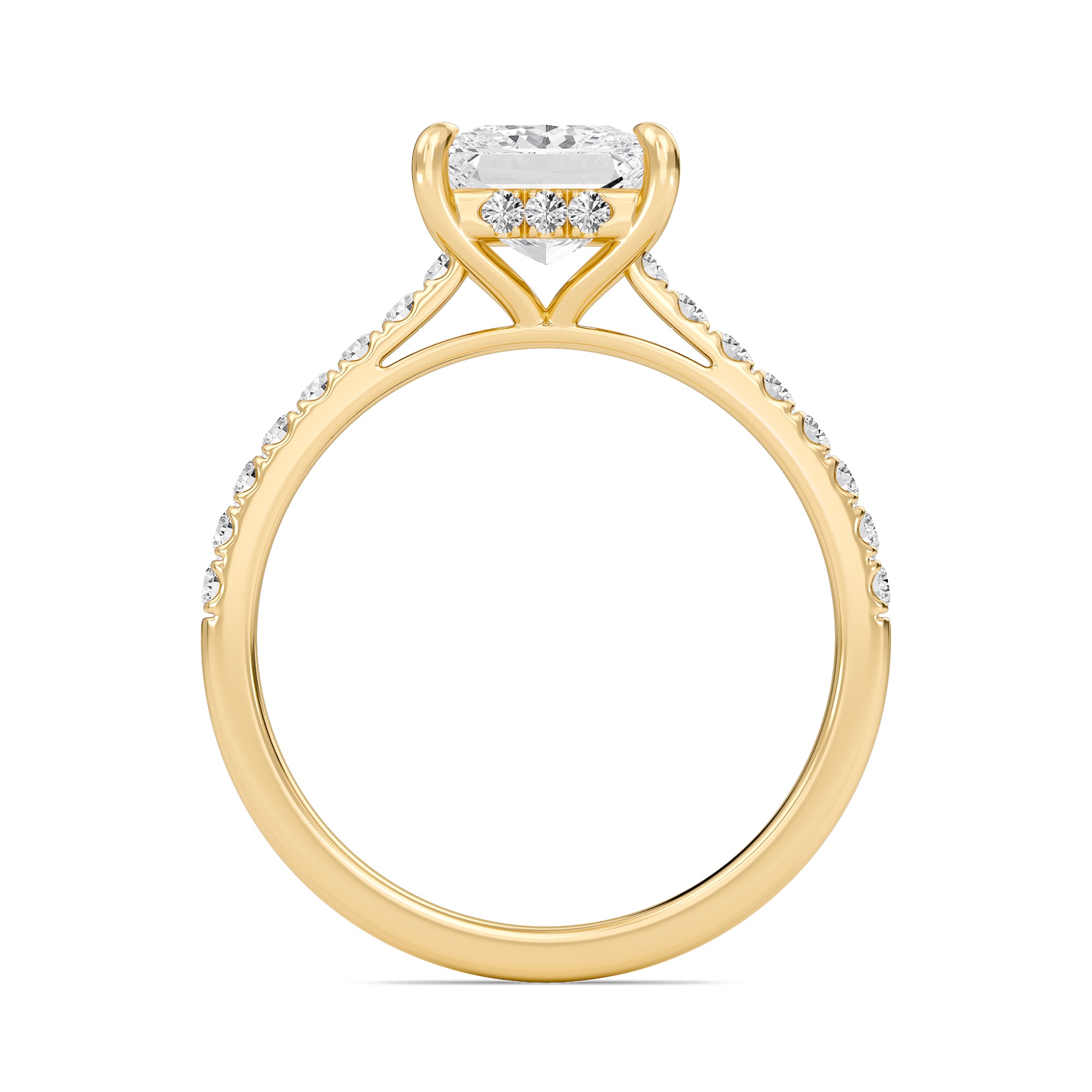 Princess Cathedral Pave Hidden Halo Engagement Ring