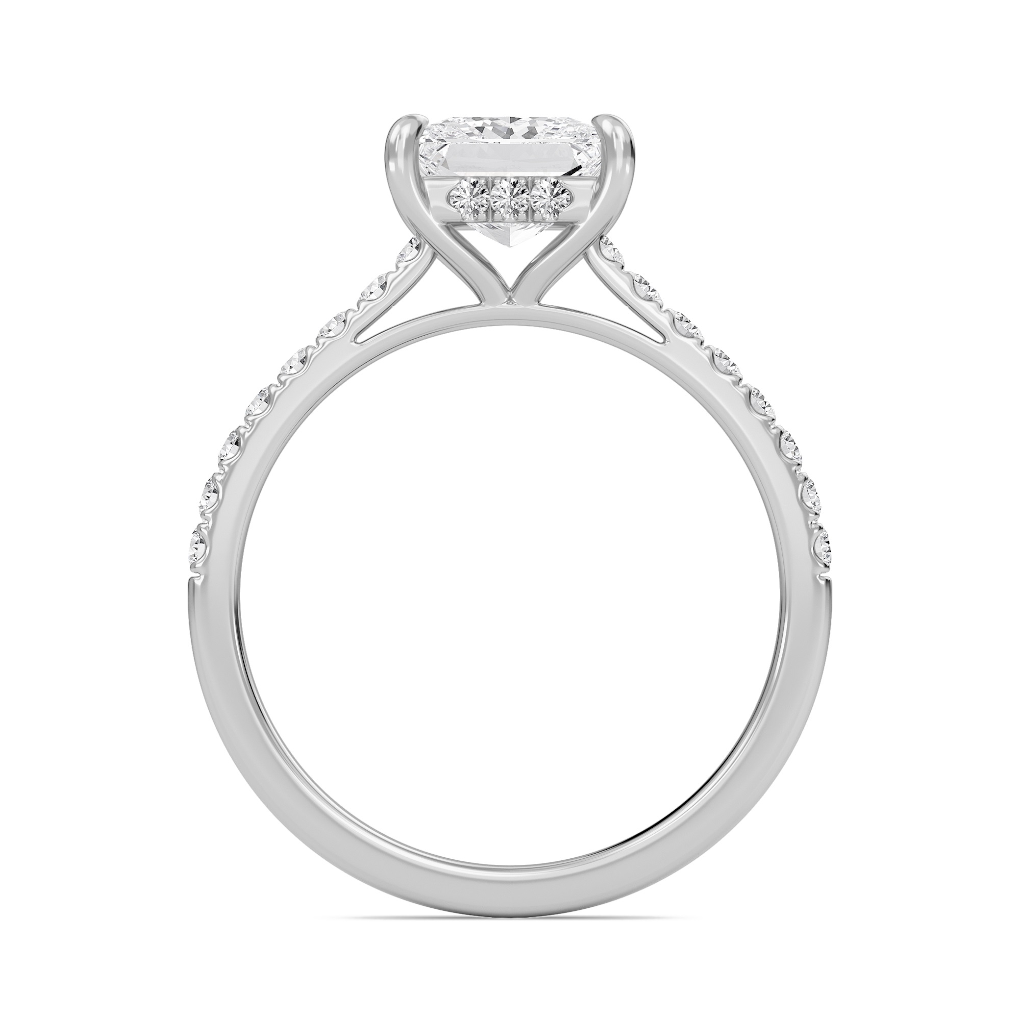 Princess Cathedral Pave Hidden Halo Engagement Ring