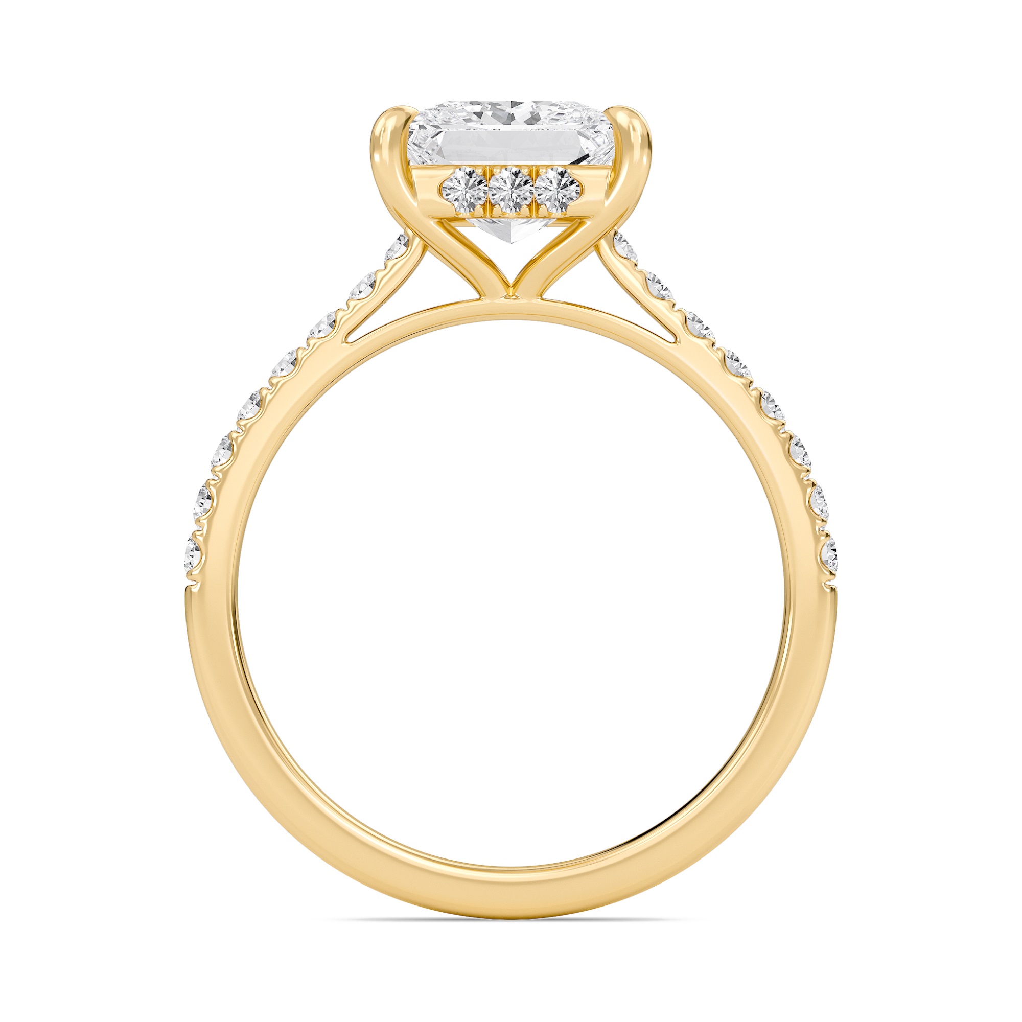 Princess Cathedral Pave Hidden Halo Engagement Ring
