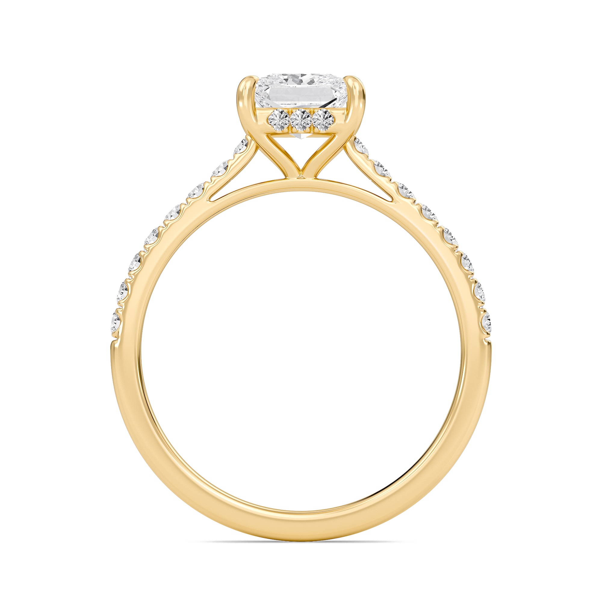 Princess Cathedral Pave Hidden Halo Engagement Ring