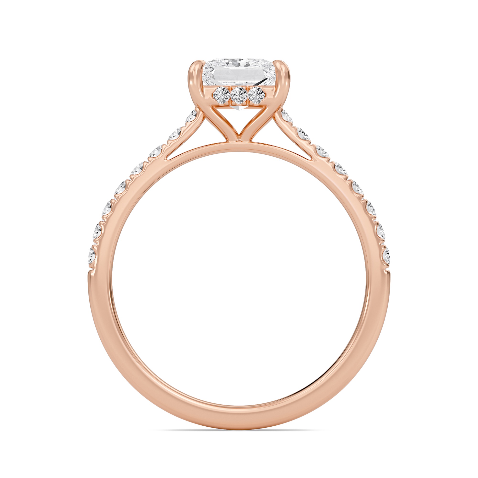 Princess Cathedral Pave Hidden Halo Engagement Ring