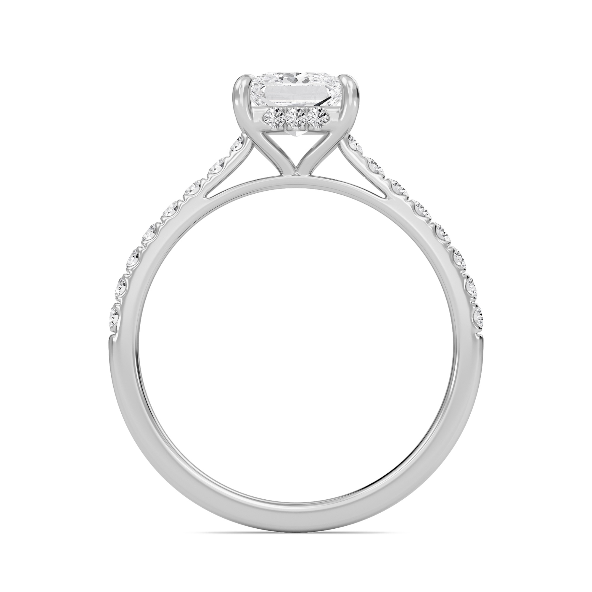 Princess Cathedral Pave Hidden Halo Engagement Ring
