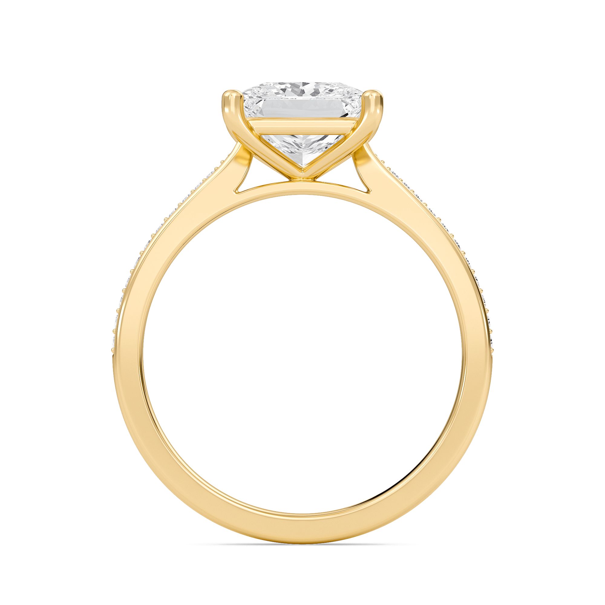 Princess Cathedral Pave Adorned Engagement Ring