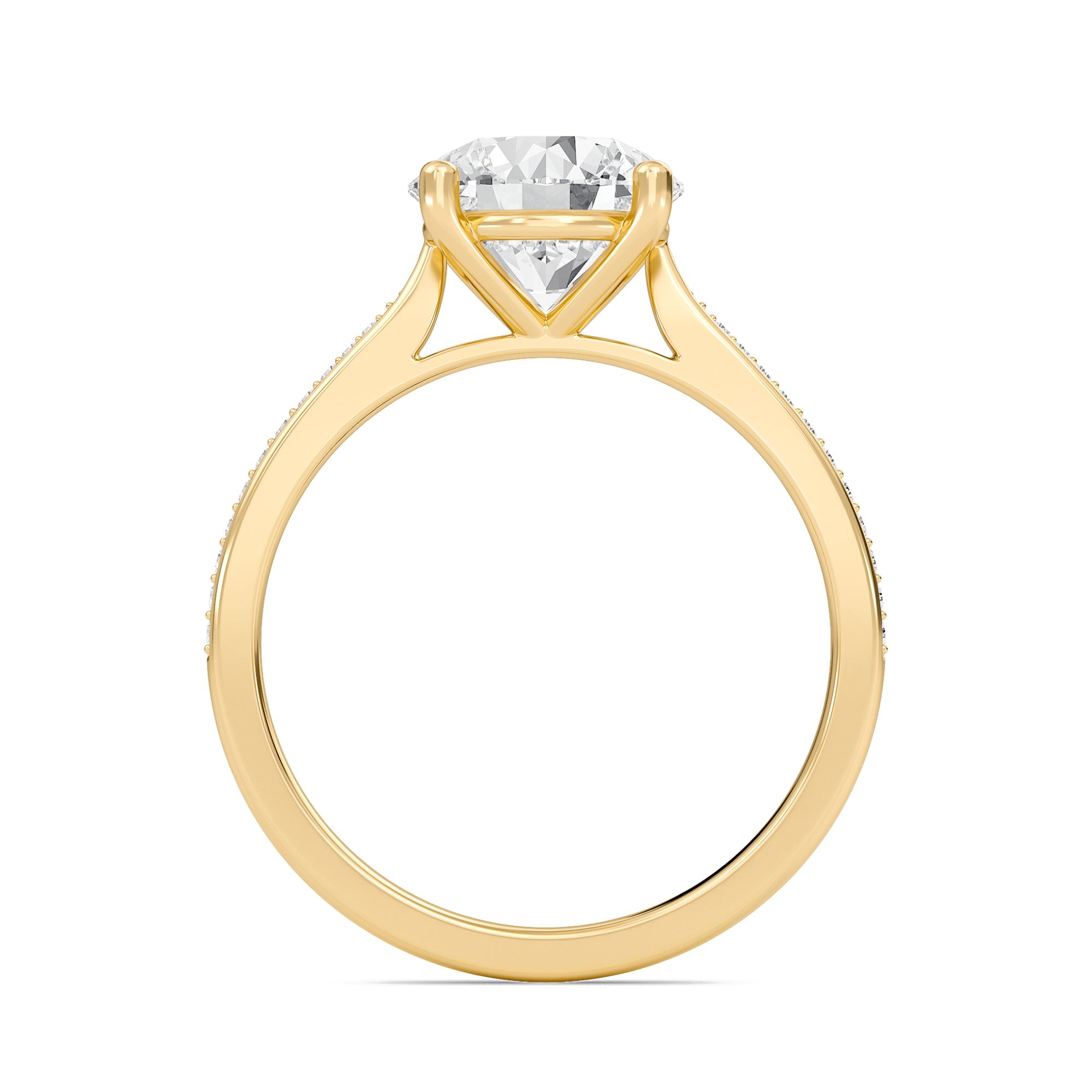Round Cathedral Pave Adorned Engagement Ring