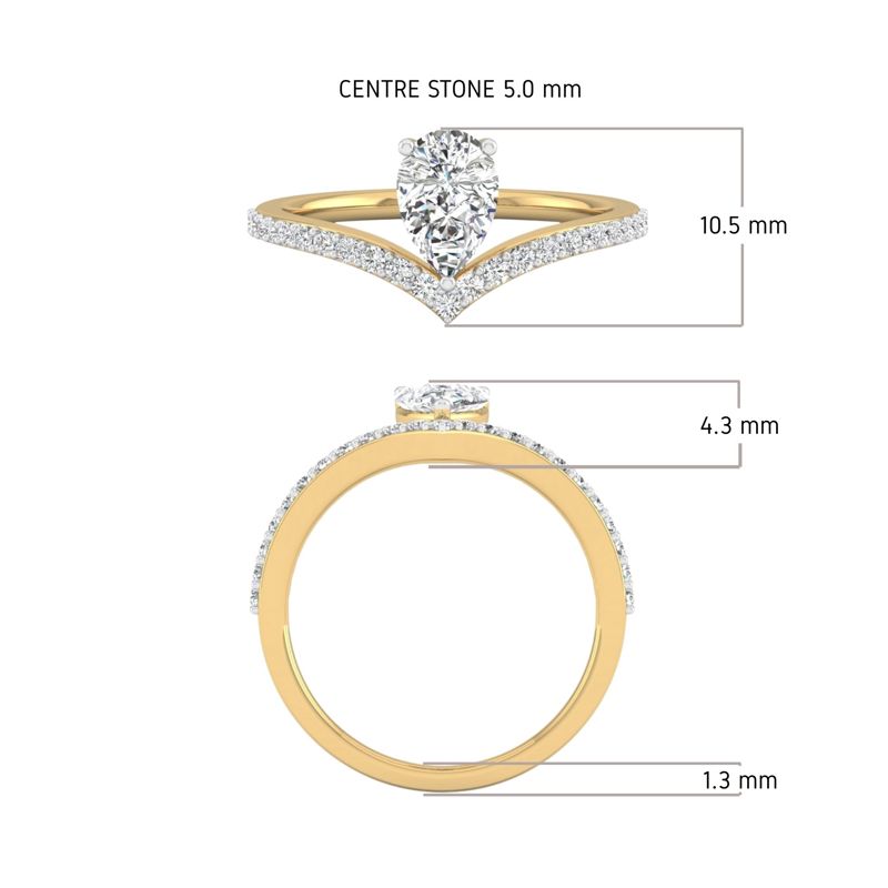 The Orbit Ring