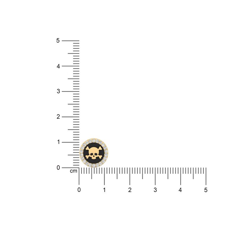 Rogue Skull Studs