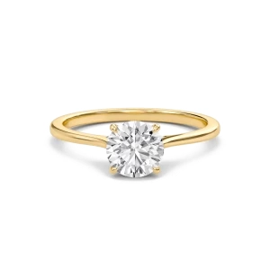 Round Cathedral Hidden Halo Engagement Ring