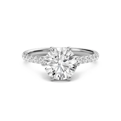 Cathedral Pave Adorned 6 Prong Ring
