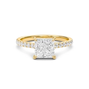 Princess Cathedral Pave Hidden Halo Engagement Ring
