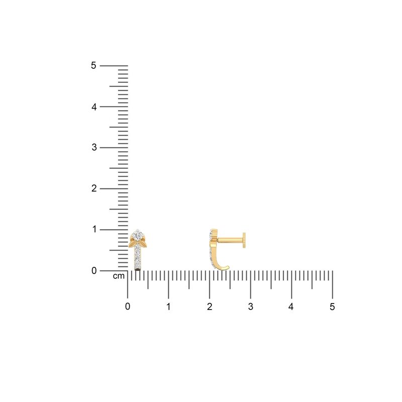 Eclat Curve Nose Pin