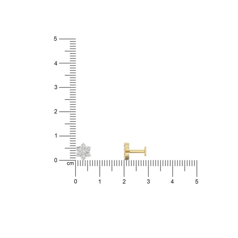 Floret Sparkle Nose Pin