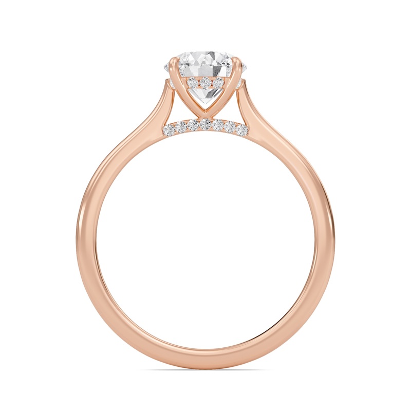 Round Cathedral Hidden Halo Engagement Ring