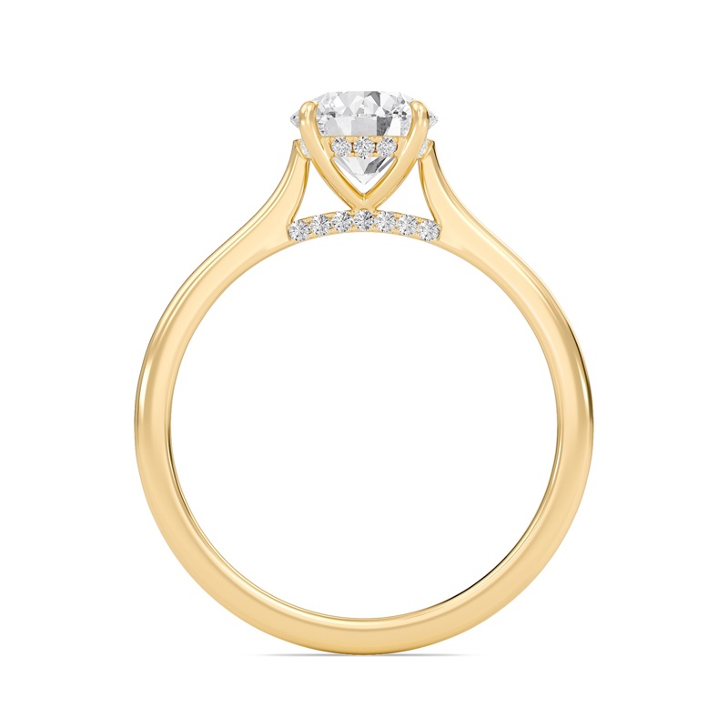 Round Cathedral Hidden Halo Engagement Ring
