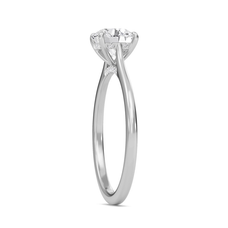 Round Cathedral Hidden Halo Engagement Ring