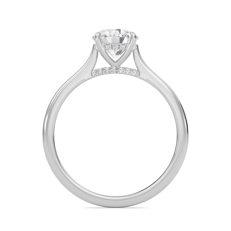 Round Cathedral Hidden Halo Engagement Ring