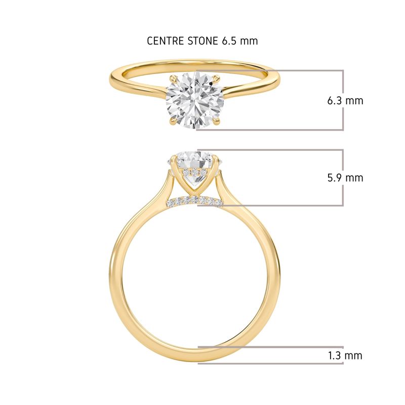 Round Cathedral Hidden Halo Engagement Ring