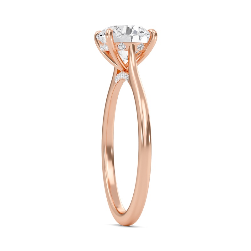 Round Cathedral Hidden Halo Engagement Ring