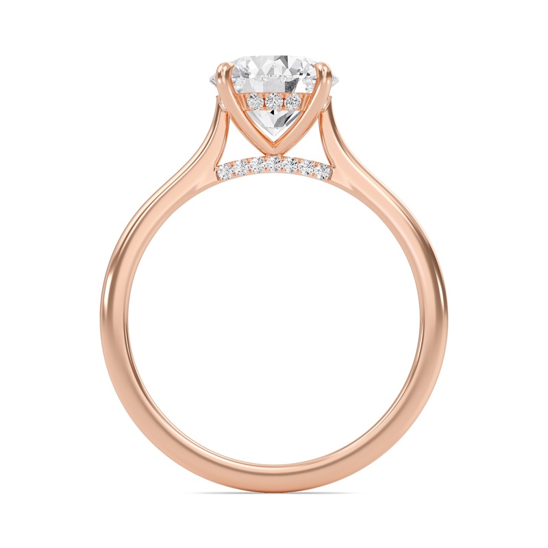 Round Cathedral Hidden Halo Engagement Ring