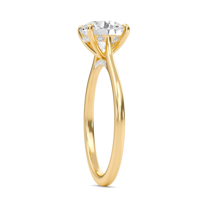 Round Cathedral Hidden Halo Engagement Ring