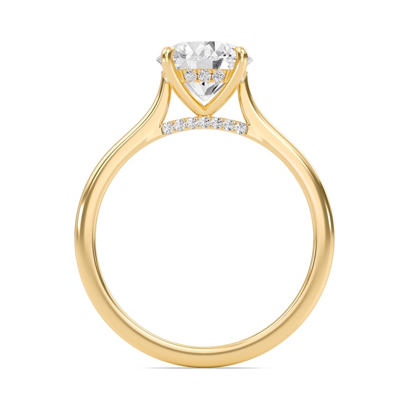 Round Cathedral Hidden Halo Engagement Ring
