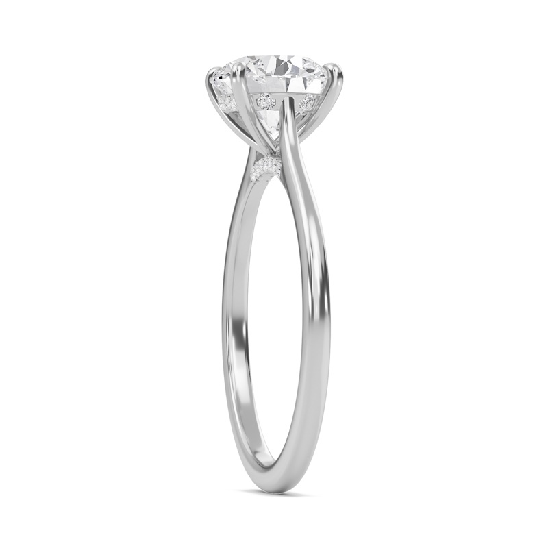 Round Cathedral Hidden Halo Engagement Ring
