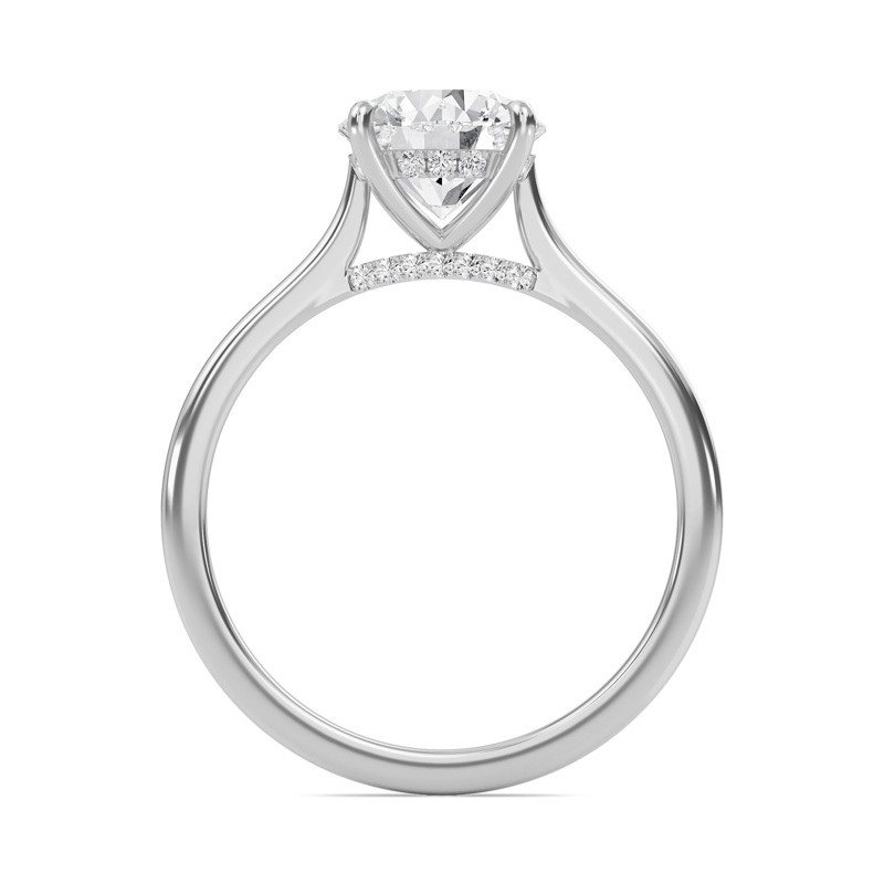 Round Cathedral Hidden Halo Engagement Ring