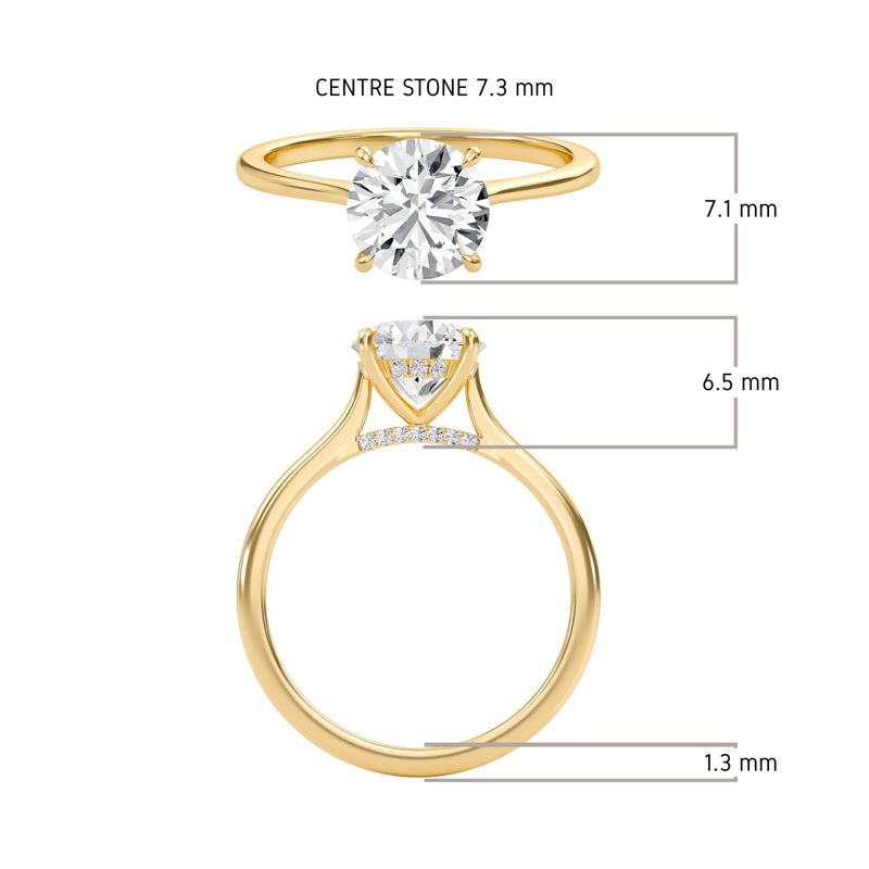 Round Cathedral Hidden Halo Engagement Ring