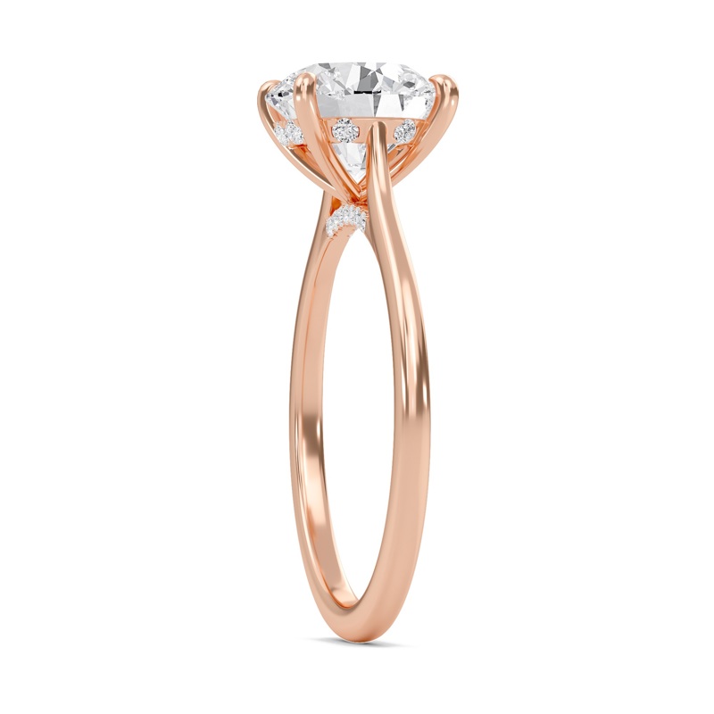 Round Cathedral Hidden Halo Engagement Ring