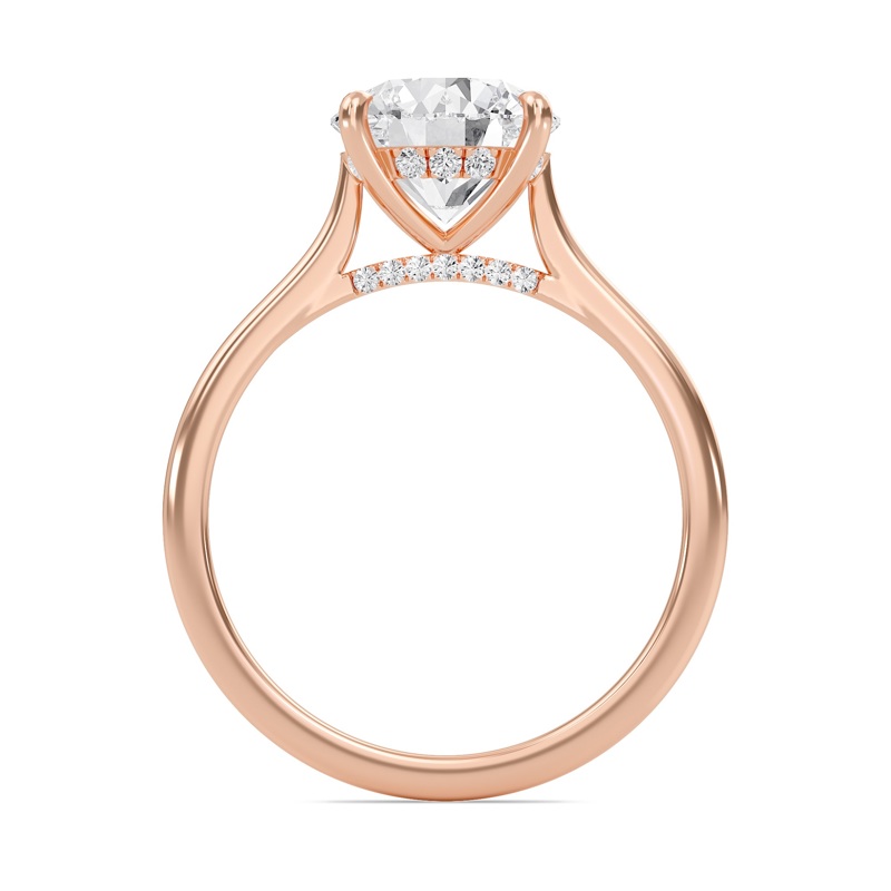 Round Cathedral Hidden Halo Engagement Ring