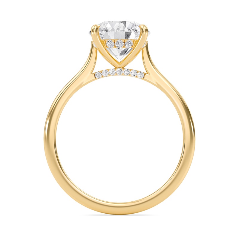 Round Cathedral Hidden Halo Engagement Ring