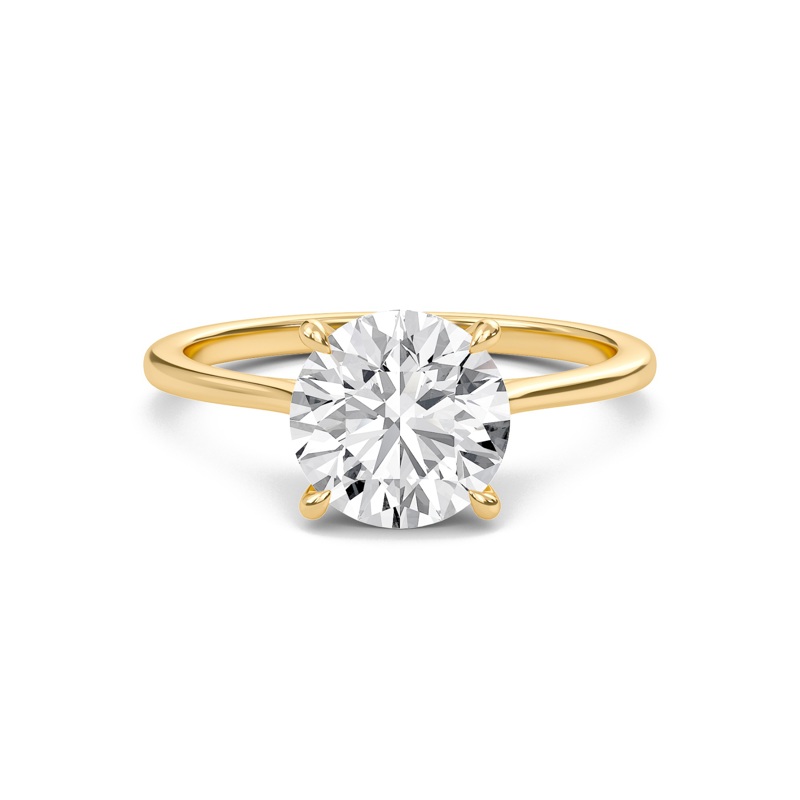 Round Cathedral Hidden Halo Engagement Ring