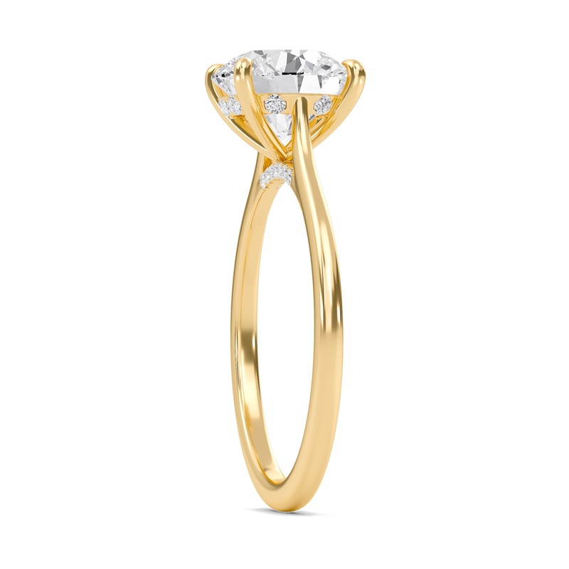 Round Cathedral Hidden Halo Engagement Ring
