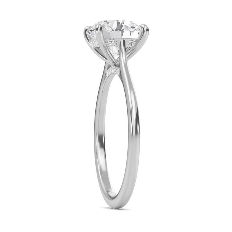 Round Cathedral Hidden Halo Engagement Ring
