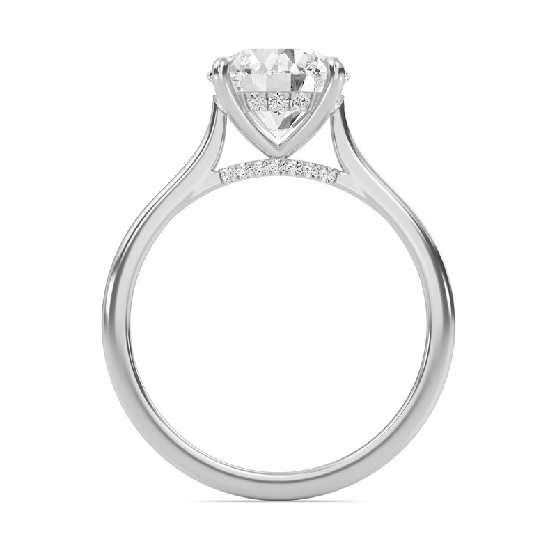 Round Cathedral Hidden Halo Engagement Ring