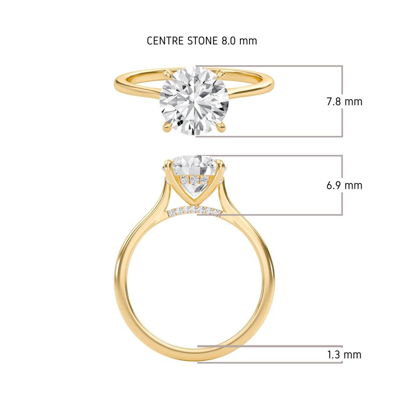 Round Cathedral Hidden Halo Engagement Ring