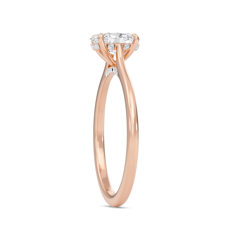 Oval Cathedral Hidden Halo Engagement Ring