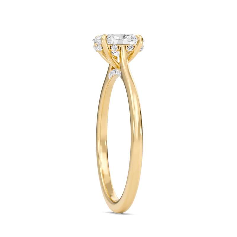 Oval Cathedral Hidden Halo Engagement Ring